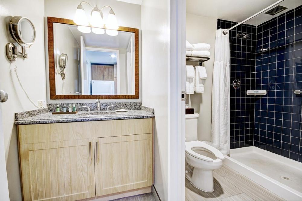 One-Bedroom Standard  interior